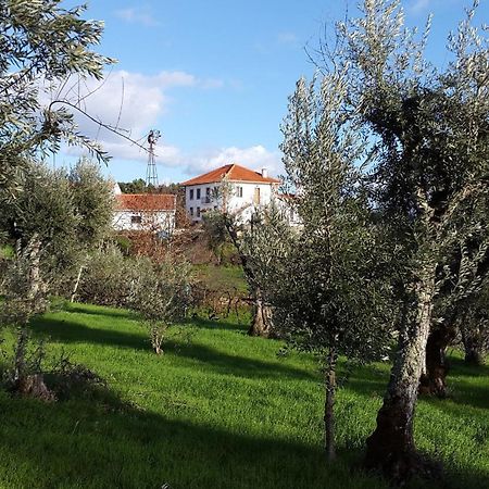 Sertã Quinta Quatro Ventos Bed & Breakfast エクステリア 写真