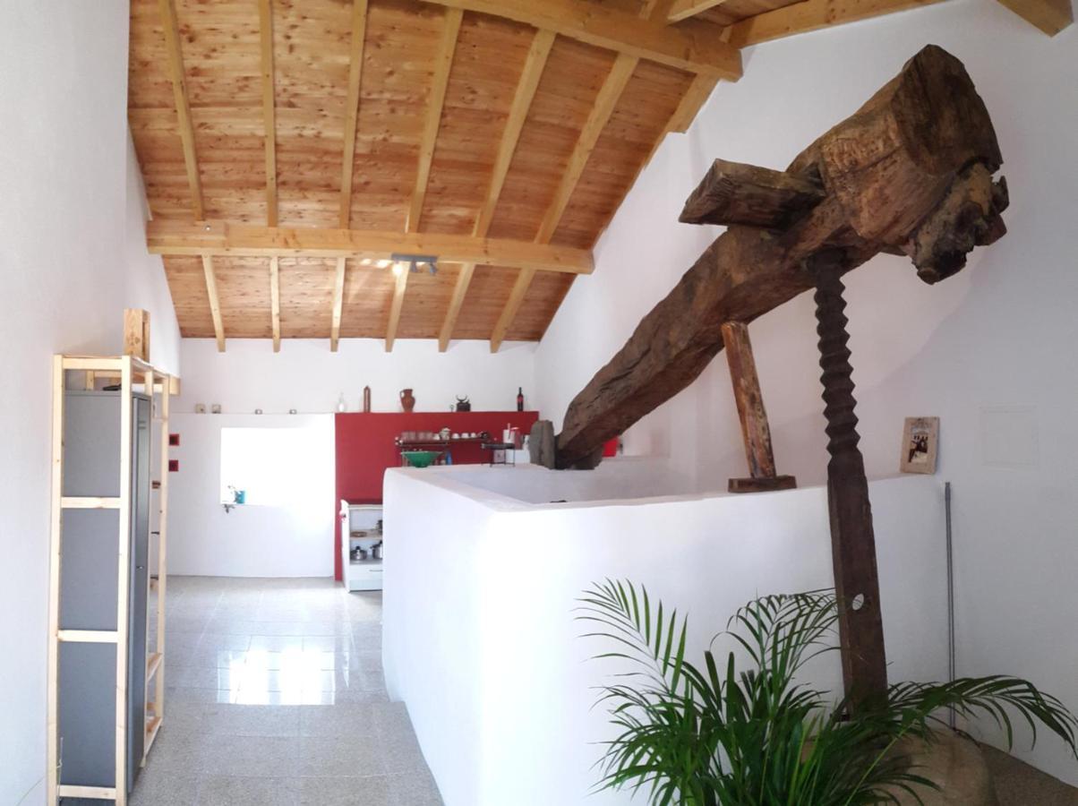 Sertã Quinta Quatro Ventos Bed & Breakfast エクステリア 写真